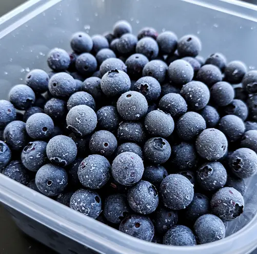 블루베리-냉동보관법-1